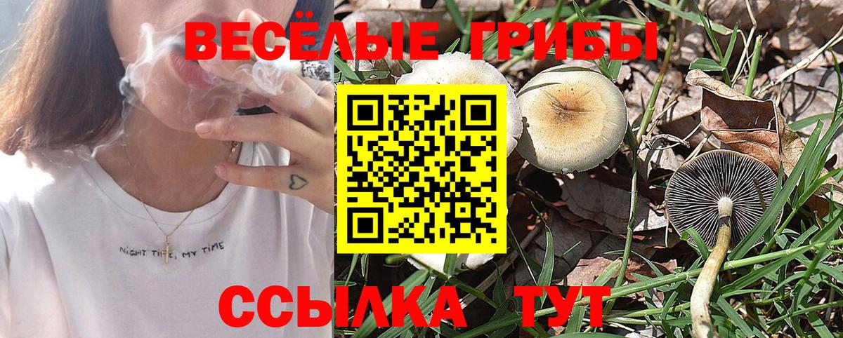 Медногорск  Псилоцибиновые грибы мицелий  хочу   Вход с VPN 