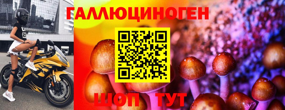 Псилоцибиновые грибы мухоморы Медногорск